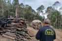 Foto de ação de fiscalização ambiental do IAT