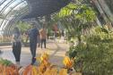 Foto de exposição de fauna ameaçada