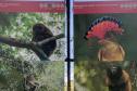 Foto de exposição de fauna ameaçada