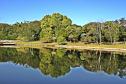 Foto do Jardim Botânico de Londrina