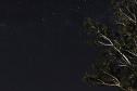 Foto do Jardim Botânico de Londrina