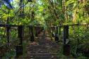 Foto de parque estadual do Paraná