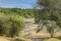 Foto de paisagem da Mata Atlântica do Paraná