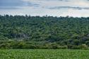Foto de paisagem natural do Paraná