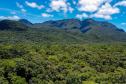 Foto aérea da Mata Atlântica