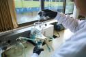 Com mais uma acreditação, IAT passa a ter três laboratórios com padrão internacional