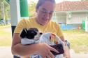 Passagem extra do CastraPet Paraná pela Ilha do Mel beneficia 102 animais
