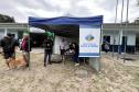 Passagem extra do CastraPet Paraná pela Ilha do Mel beneficia 102 animais
