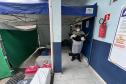 Passagem extra do CastraPet Paraná pela Ilha do Mel beneficia 102 animais