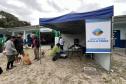 Passagem extra do CastraPet Paraná pela Ilha do Mel beneficia 102 animais