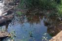 Foto de área multada pelo IAT