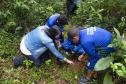 IAT desenvolve ação de educação ambiental em Morretes para o Dia das Crianças