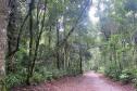 Foto de Unidade de Conservação Paranaense