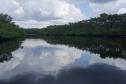 Foto de área de nova UC do Paraná