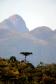 Foto do Pico Paraná
