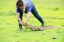 Foto de animal em tratamento