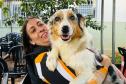 Foto de animais atendidos pelo CastraPet Paraná