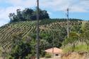 Foto de processo de regularização fundiária em Cerro Azul