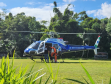 Foto de dispersão de sementes de Palmito no litoral