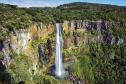 Foto de paisagem natural do Paraná