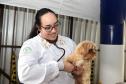 Foto de pessoas atendidas pelo Vet-móvel