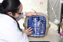 Foto de pessoas atendidas pelo Vet-móvel