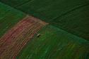 Foto aérea de plantação