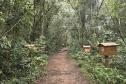 Foto do Parque Estadual da Baitaca