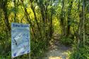 Foto de trilha do Parque Estadual Rio da Onça