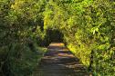 Foto de trilha do Parque Estadual Rio da Onça