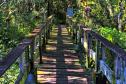 Foto de trilha do Parque Estadual Rio da Onça
