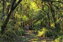 Foto de trilha do Parque Estadual Rio da Onça