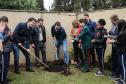 Paraná Mais Verde planta 413 mil árvores nativas
