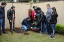 Paraná Mais Verde planta 413 mil árvores nativas