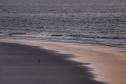 Coleta de amostras de águas das praias do Paraná começa já em novembro
