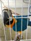 Instituto Água e Terra orienta sobre o resgate de animais silvestres