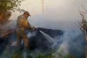 Incêndios ambientais crescem 33% no Paraná no 1.º trimestre
