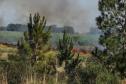 Incêndios ambientais crescem 33% no Paraná no 1.º trimestre
