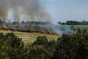 Incêndios ambientais crescem 33% no Paraná no 1.º trimestre

