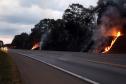 Incêndios ambientais crescem 33% no Paraná no 1.º trimestre
