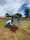 Com mudas do IAT, Parque das Torres é reflorestado em Campo Mourão