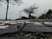 moradores apoiam obras do litoral