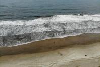 moradores apoiam obras do litoral