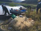 pesca ilegal - represa do capivari