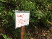 As trilhas do Parque Estadual Pico do Paraná e do Morro do Anhangava, atrativo do Parque Estadual Serra da Baitaca, receberam manutenção através de voluntários, neste final de semana. Ambos estão localizados na Região Metropolitana de Curitiba (RMC). - Curitiba, 14/05/2021 - Foto: Divulgação SEDEST