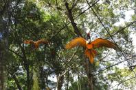 Parque das Aves