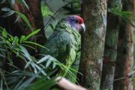Parque das Aves