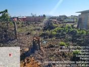 Força-tarefa no litoral identifica mais de 100 hectares de desmatamento ilegal - curitiba, 03/08/2021 - Foto: IAT