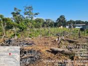 Força-tarefa no litoral identifica mais de 100 hectares de desmatamento ilegal - curitiba, 03/08/2021 - Foto: IAT