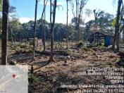 Força-tarefa no litoral identifica mais de 100 hectares de desmatamento ilegal - curitiba, 03/08/2021 - Foto: IAT